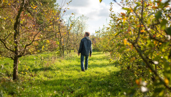 Biologisch beheer van landbouwgrond levert klimaatwinst op