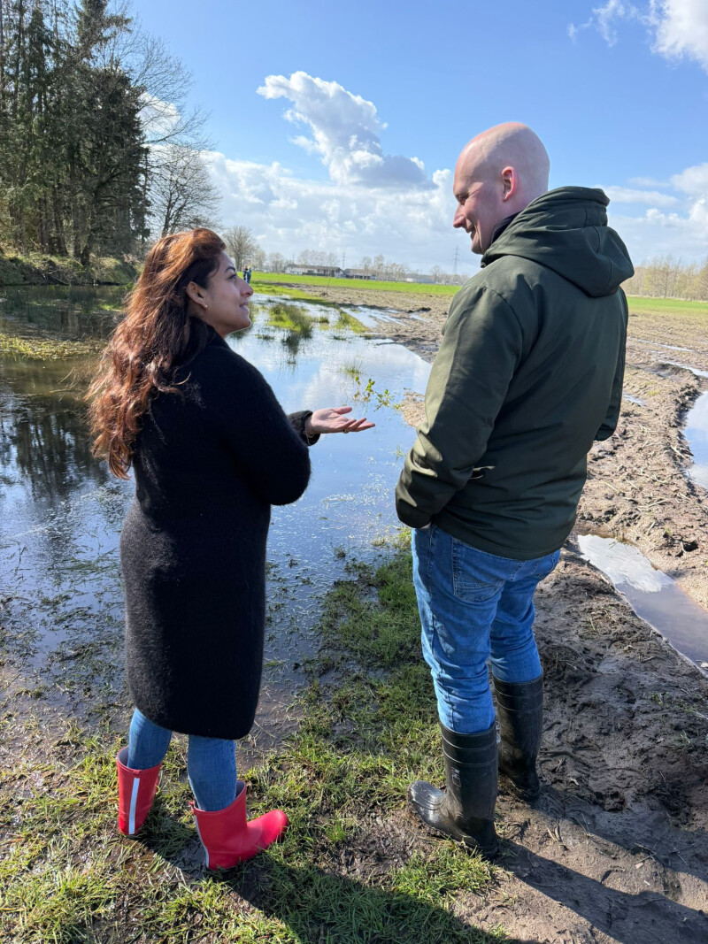 Beels bij beverperceel