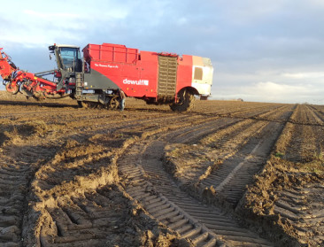 Goed gesoigneerde bodem geeft een landbouwer veel terug