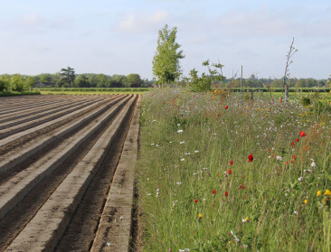 Tussen akker en bos groeit een nieuw landbouwmodel in Vlaams-Brabant