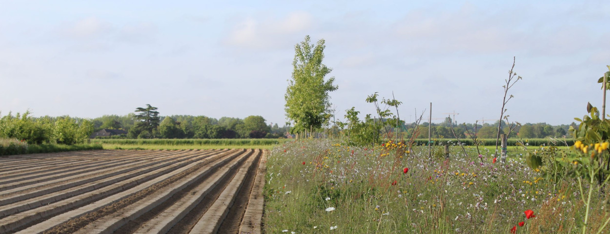 boslandbouw bio _praktijkpunt vl-brabant