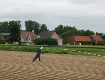 600.000 euro voor onderzoeksprojecten over platteland