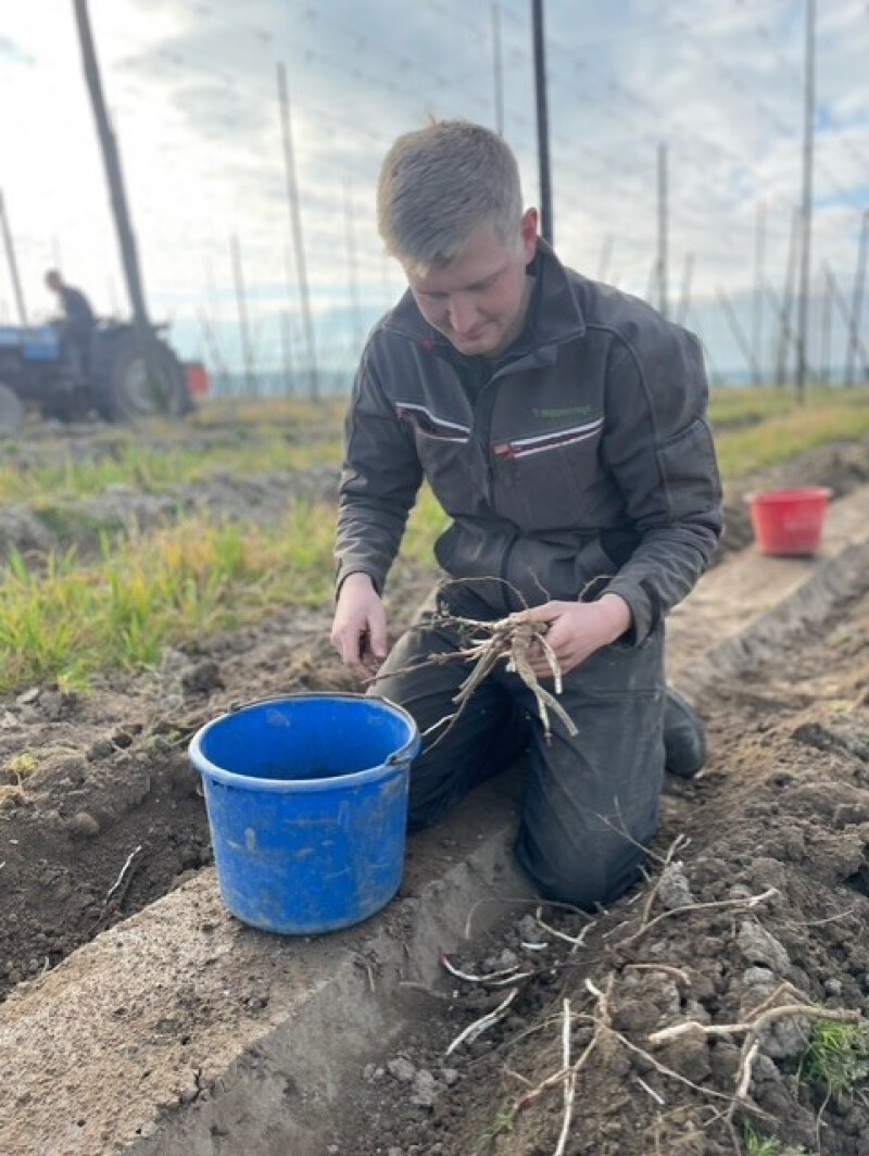 'thoppecruyt_hopscheuten2