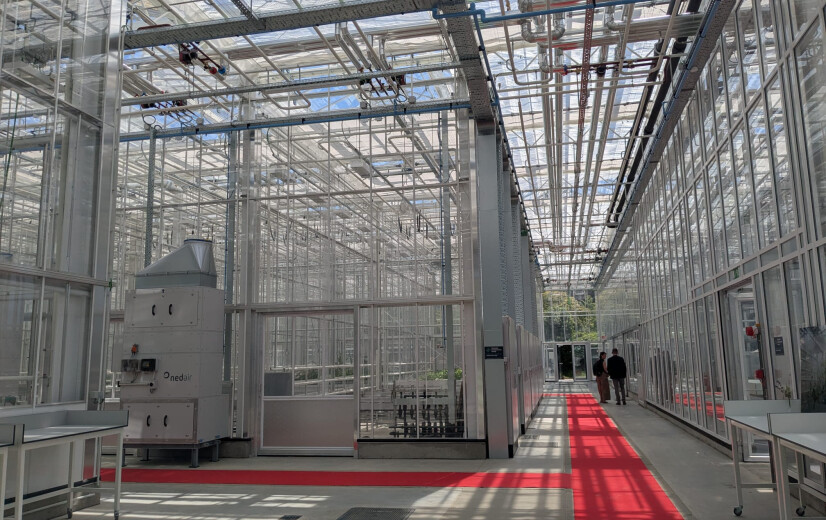 Nieuw serrecomplex van KU Leuven opent deuren naar uniek plantenonderzoek in Vlaanderen