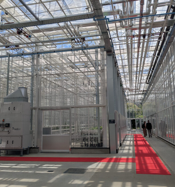 Nieuw serrecomplex van KU Leuven opent deuren naar uniek plantenonderzoek in Vlaanderen