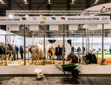 Vijftien jaar samenwerking voortgezet in coöperatie CRV