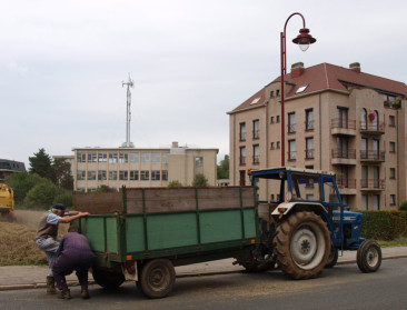 "Maak vaart met BRV als we ruimte voor landbouw willen"