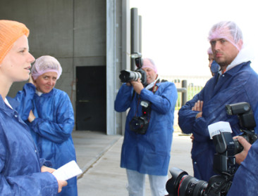 Exportslachthuis Tielt