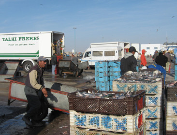 België in de bres voor landbouwakkoord EU-Marokko