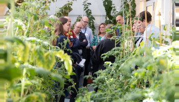 “Veredelingstechnieken mogen niet verengd worden tot NGT’s”
