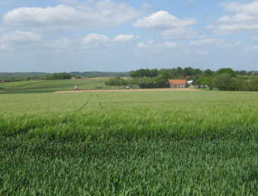 Diversiteit voor Antwerps provinciaal landbouwbeleid