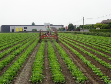 Amper schorsing van bedrijven na controles in biosector
