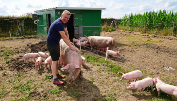 Bioboerderij De Vleterbeek zorgt met weidehut voor meer dierenwelzijn voor zeugen en biggen