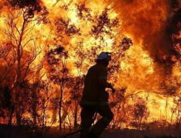 Ook landbouw lijdt zwaar onder Australische bosbranden