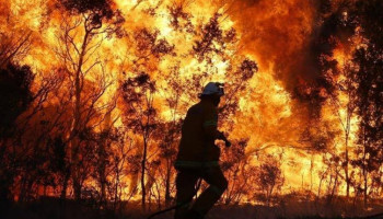 Extreme bosbranden zijn in twee decennia verdubbeld