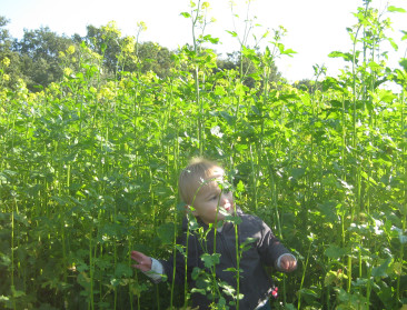 Newbie-netwerk zoekt nieuwkomer in landbouw met durf