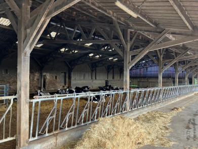 Bert Felis in Frankrijk2