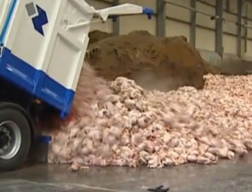 Afhandeling in zaak schadevergoeding dioxinecrisis opnieuw uitgesteld
