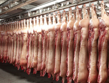 China voert tijdelijke heffingen tot wel 60 procent in op Europees varkensvlees