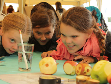 Plattelandsklassen mikt op STEM-onderwijs en projecten