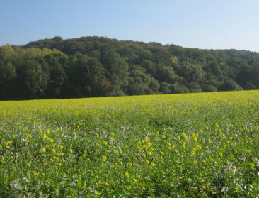 Eerste evaluatie ecologisch aandachtsgebied is positief