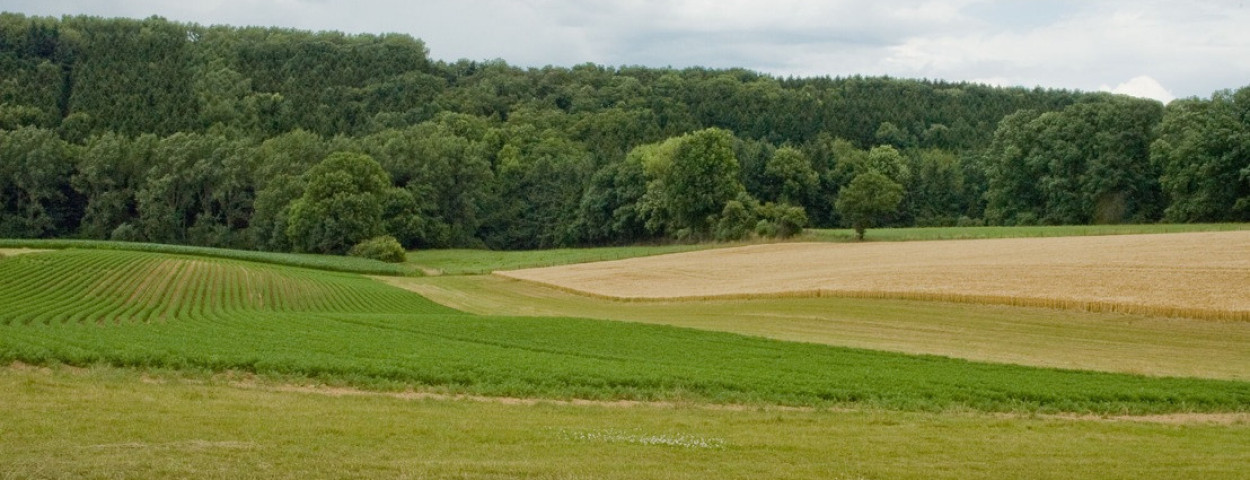landbouwgronderosietarwe-VLM