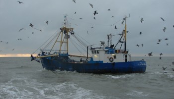 Rapport Greenpeace: fors meer visserij in te beschermen gebieden