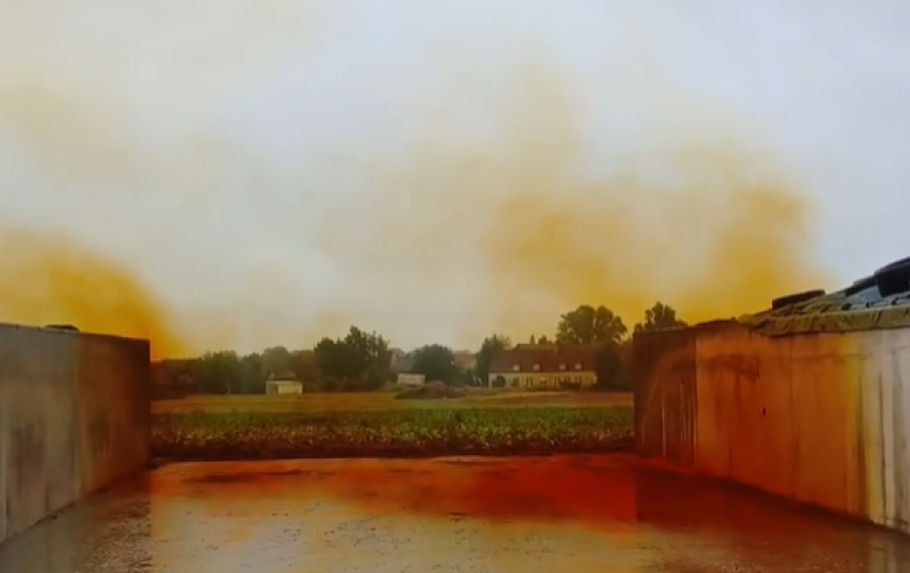 Vroege maïsoogst brengt risico op gevaarlijke kuilgassen met zich mee