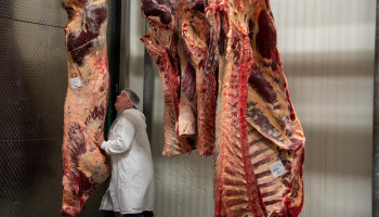 West-Vlaams runderslachthuis worstelt met de toekomst