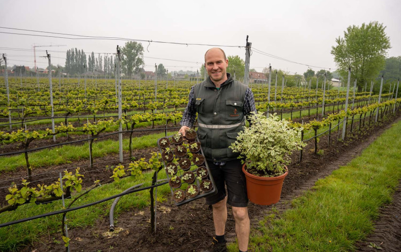 Sierteler kiest voor diversificatie met wijnbouw en korte keten
