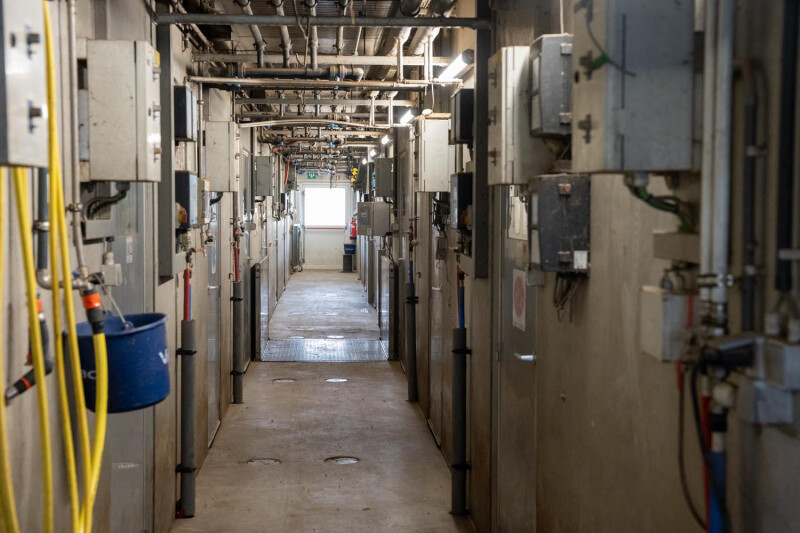 Varkensonderzoekstal ILVO