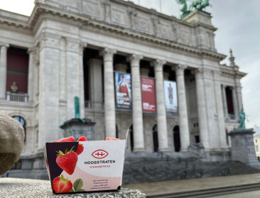Aardbeien van Hoogstraten zoeken de kunst op