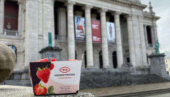 Aardbeien van Hoogstraten zoeken de kunst op