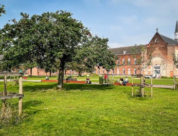‘Jurassic Park’ voor fruitbomen: Stad Gent en vzw Pomko telen verloren gewaand fruit