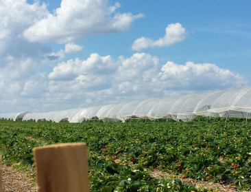EPB-eisen gelden sinds 2006 voor woonst seizoenarbeider