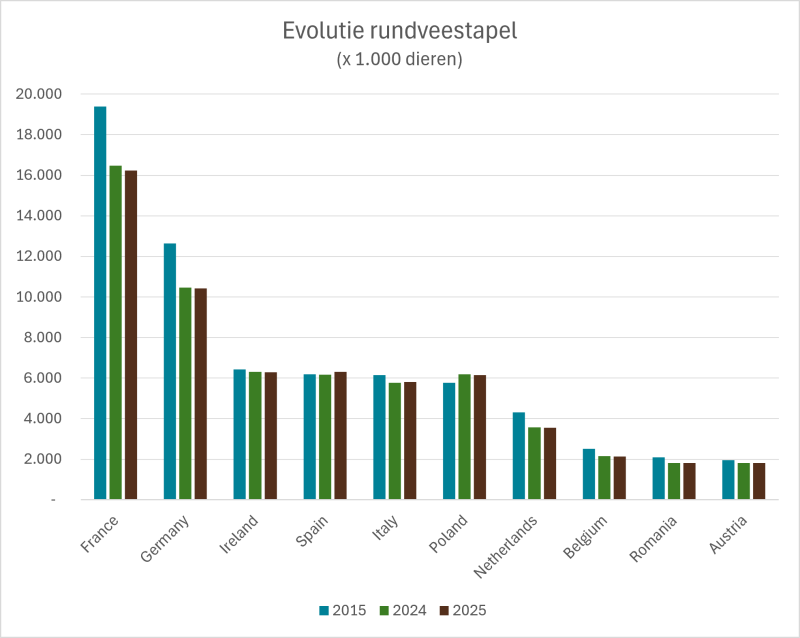 Evolutie rundvee