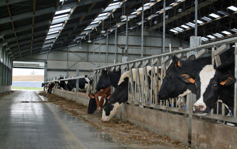 Update IKM-lastenboek legt focus op hygiëne en antibioticagebruik