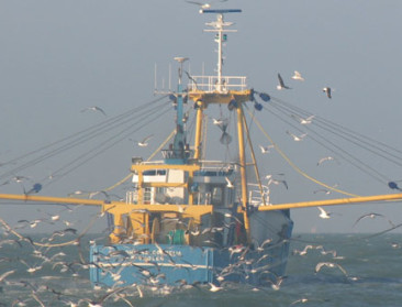 Eerste Belgische vissersvaartuig brengt vis aan land in Britse haven