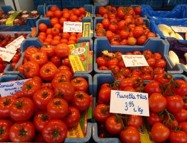 Groei en houdbaarheid kostte tomaat haar smaak