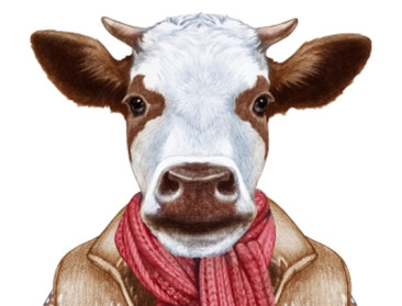 Dikketruiendag zaait verdeeldheid bij Vlaamse overheid