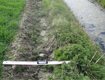 Mestbank strenger voor overtredingen in teeltvrije zone