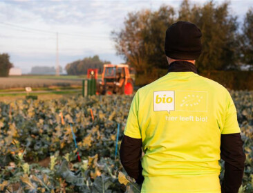 Voorzichtig optimisme in biosector: vraag groeit opnieuw, nieuwe kansen voor landbouwers