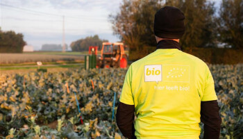 Voorzichtig optimisme in biosector: vraag groeit opnieuw, nieuwe kansen voor landbouwers