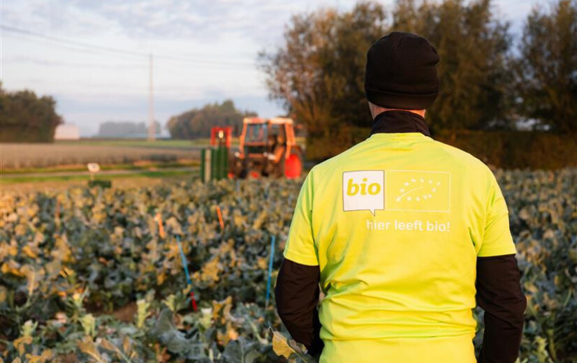 Voorzichtig optimisme in biosector: vraag groeit opnieuw, nieuwe kansen voor landbouwers