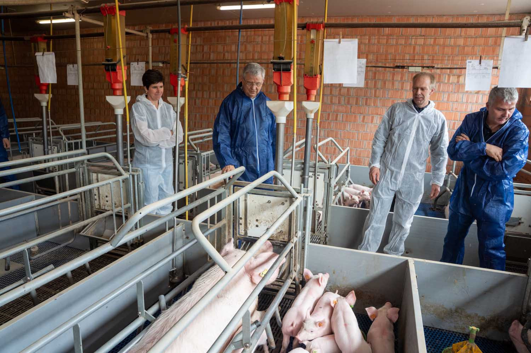 Antwerpse bisschop Johan Bonny op bezoek bij varkensbedrijf in Wuustwezel