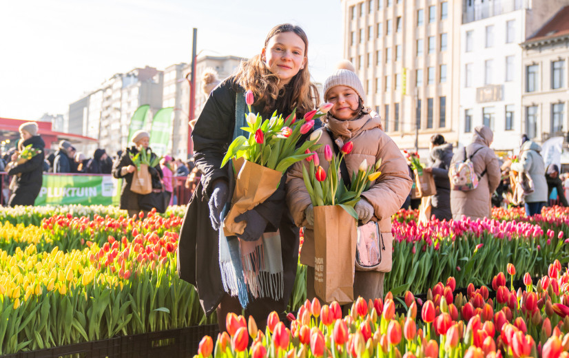 Duizenden mensen komen tulpen plukken in de VLAM-pluktuin in Antwerpen