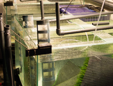 Viskweker is de gedroomde buur voor tuinder           