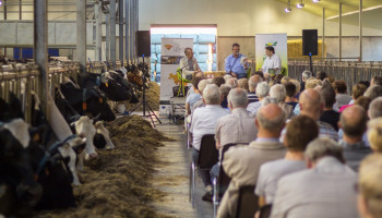 Antwerpen zet opnieuw schrijvers op stal
