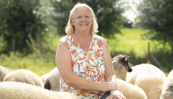 De ‘schapenwollensok’ van Groen: Martine Van Landeghem komt op voor natuur in Temse