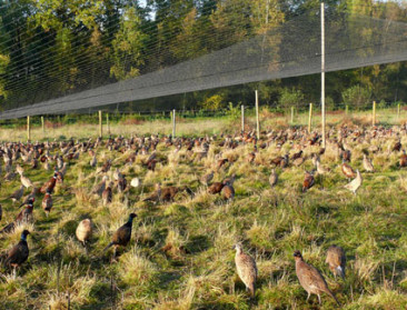Raad van State sluit 'fazantenachterpoortje'